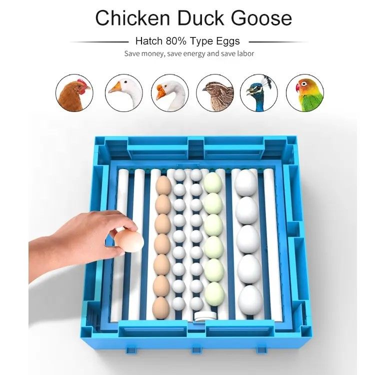 Automatic Incubator (12V/220V) / JF-64 / Capacity 64 Eggs / Heater 80W / Power 4W / Built-in Ovoscope / Automatic Egg Rotation /With Temperature and Humidity Control