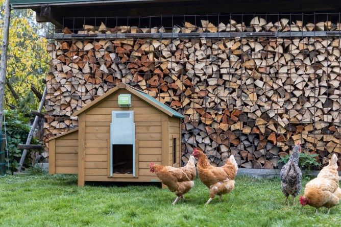 Aluminum Partition for Automatic Door / For Chicken Coop / 430 x 400 mm