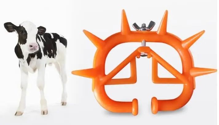 Calf Suckling Preventers / Calf Weaners / anti-suckling