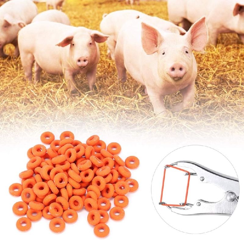 Castration Rubber Rings / For Docking, Bloodless Castration