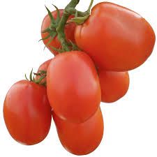 Rocky F1 Tomato Seeds / High Yield / Wilt Tolerant Variety