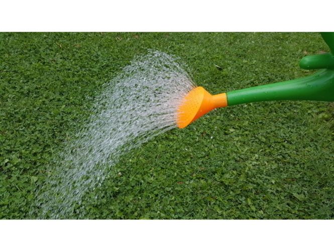 Star Watering Can / 10 Litre Capacity / Green