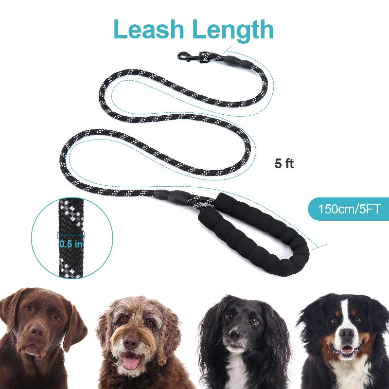 Dog Leash with Soft Padded Handle