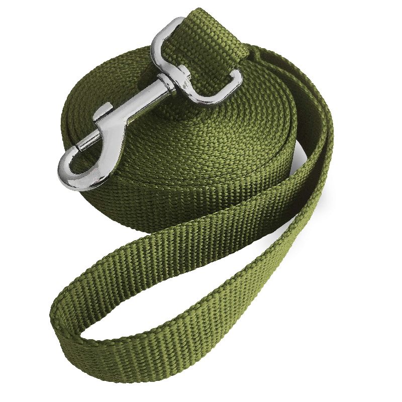 Dog Leash with Soft Padded Handle