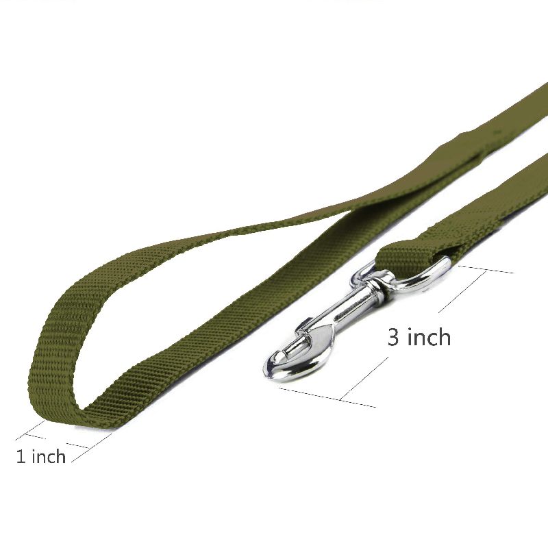 Dog Leash with Soft Padded Handle