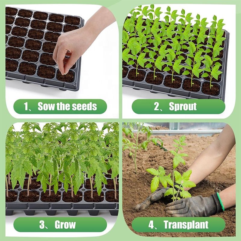 Seedling Starter Trays/ Multi- cell Seedling Nursery Trays/ 288 Cells/ 72 Cells/ 50 Cells