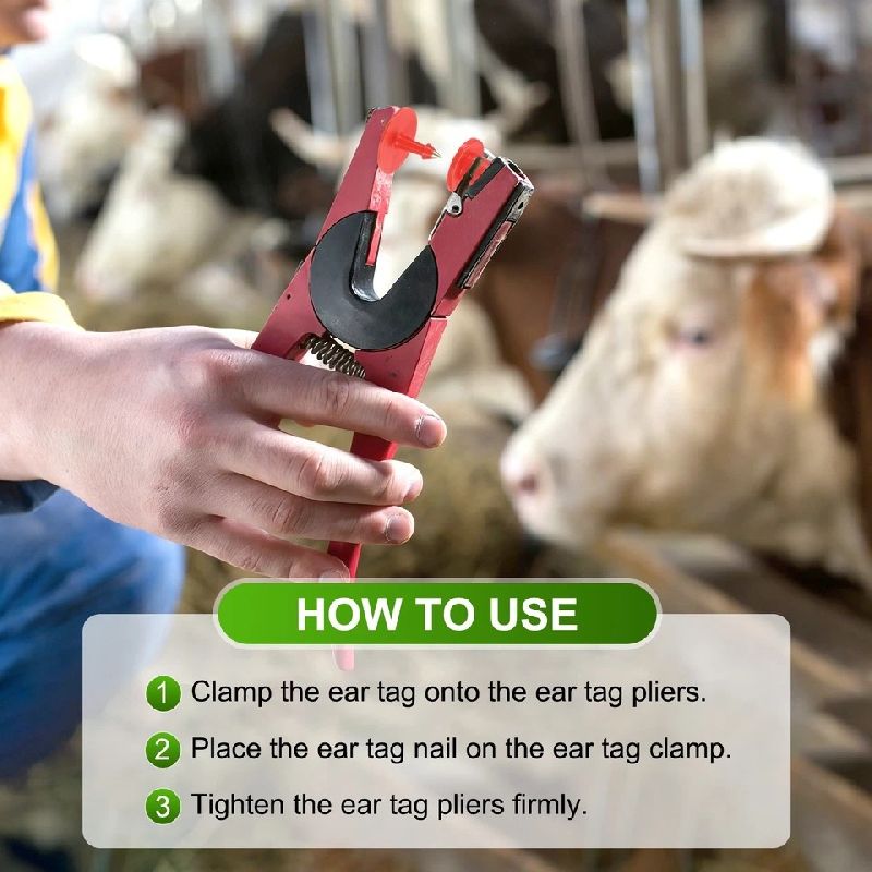 Round Ear Tag For Pigs