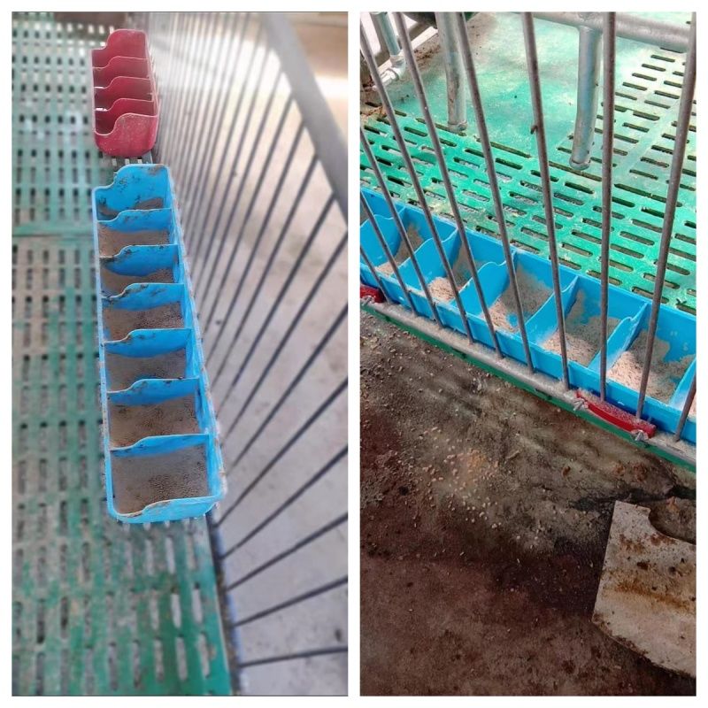 Piglet Feeder Trough / Anti-Waste Sow And Nursery Pen / Durable PP Plastic