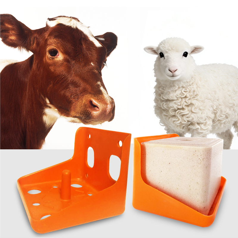 Salt Block Rack Mineral Salt Brick Holder / Durable Rack / Shock Resistant /Suitable ...