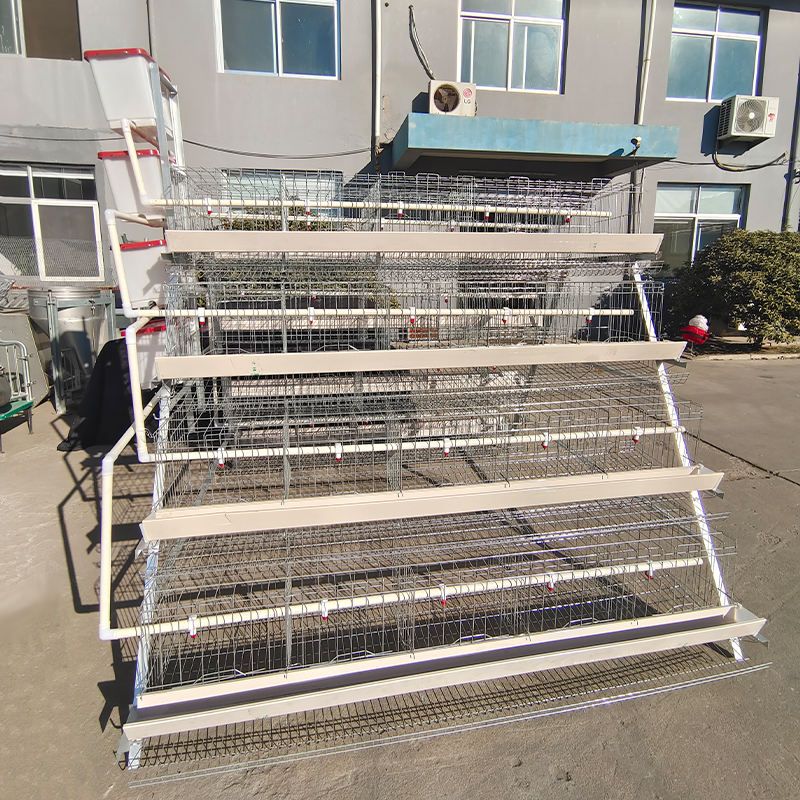 A - Type Galvanized Steel Chicken Layer Cage / High Capacity Battery Cage / Rust Resistant / 85 KG