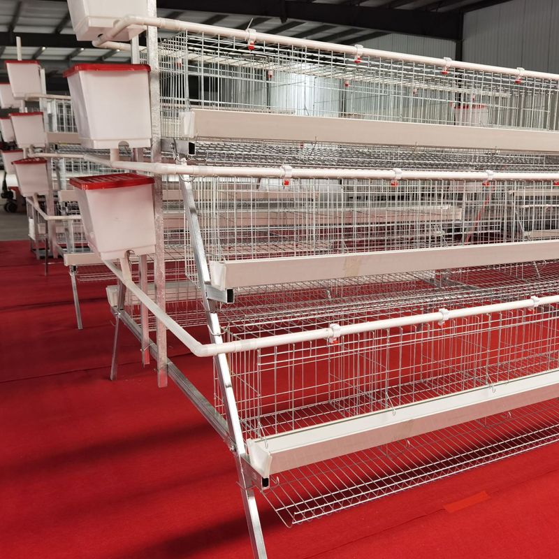 A - Type Galvanized Steel Chicken Layer Cage / High Capacity Battery Cage / Rust Resistant / 85 KG