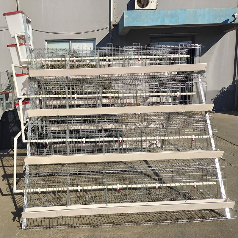 A - Type Galvanized Steel Chicken Layer Cage / High Capacity Battery Cage / Rust Resistant / 85 KG