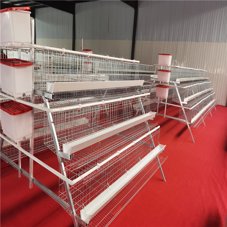 A - Type Galvanized Steel Chicken Layer Cage / High Capacity Battery Cage / Rust Resistant / 85 KG