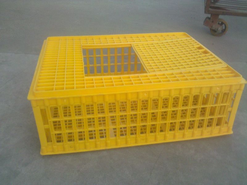 Poultry Transport Cage For Chicks, Adult Chicken and Pigeons