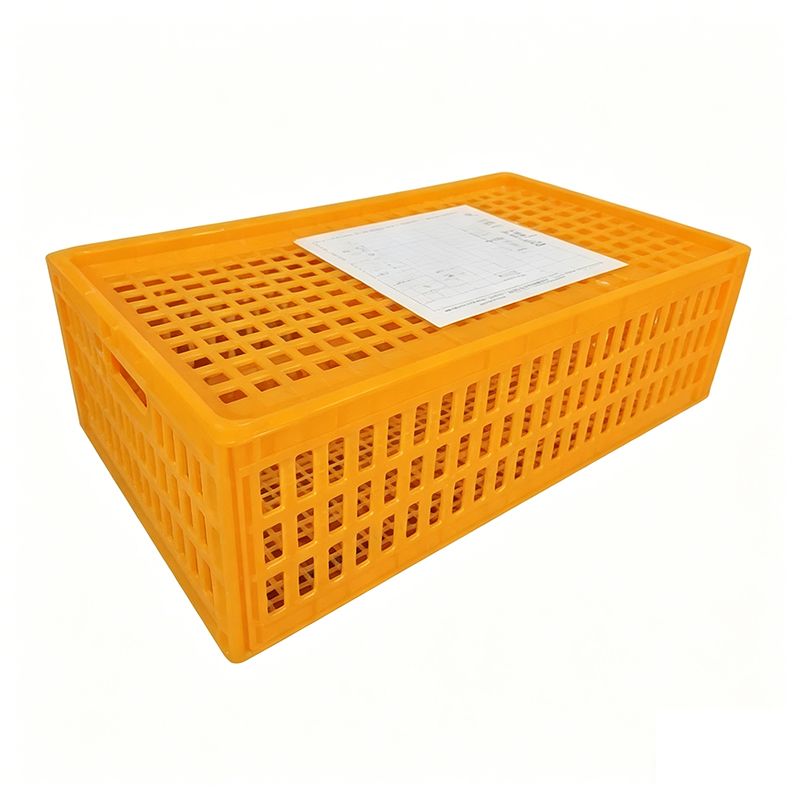 Poultry Transport Cage For Chicks, Adult Chicken and Pigeons