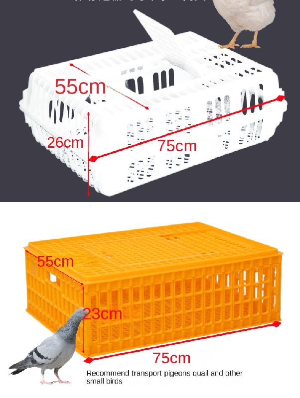 Poultry Transport Cage For Chicks, Adult Chicken and Pigeons