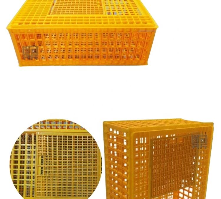 Poultry Transport Cage For Chicks, Adult Chicken and Pigeons