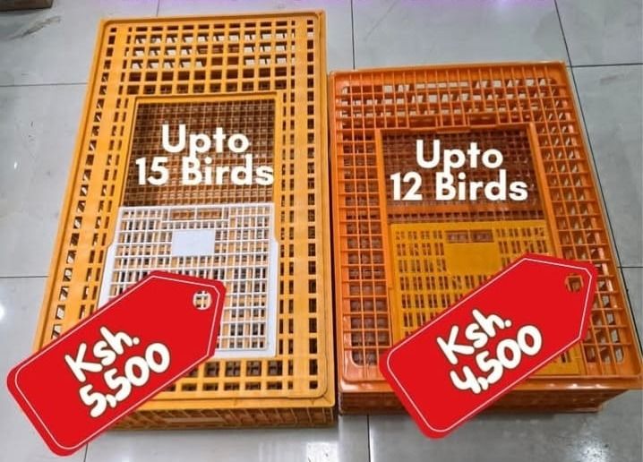 Poultry Transport Cage For Chicks, Adult Chicken and Pigeons