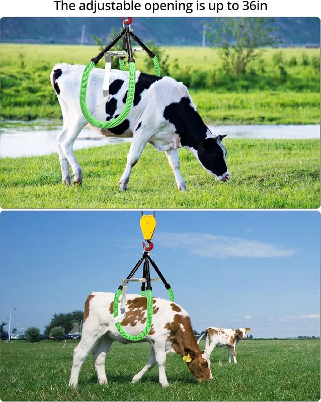 Adjustable Cattle Hip Lifter