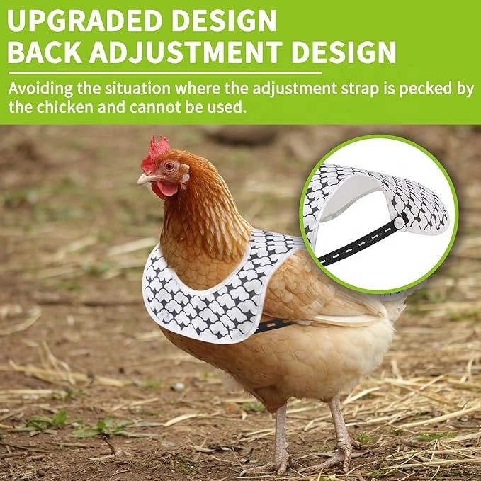 Chicken Saddle / Adjustable Feather Protection Apron With Prints And Straps