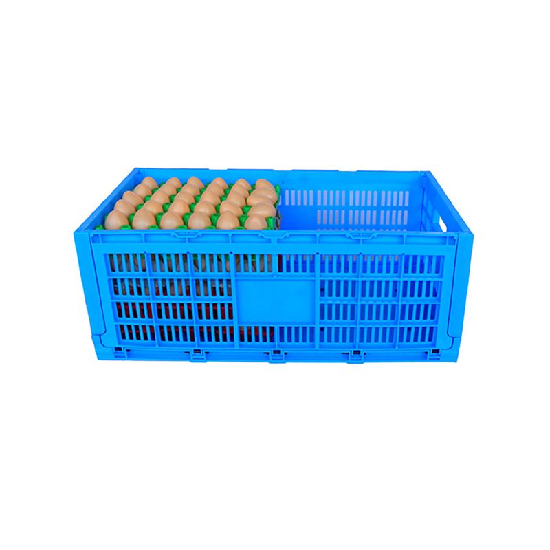 Egg Transportation Crates / Egg Collection Crates For Poultry Farms