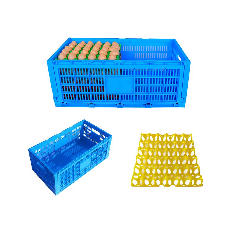 Egg Transportation Crates / Egg Collection Crates For Poultry Farms